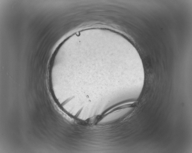 X0000080721518200701021041