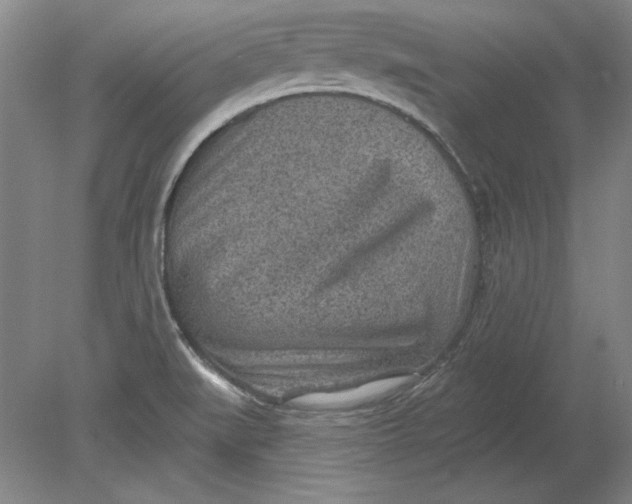 X0000080721519200701021041