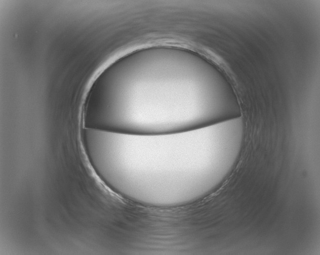 X0000080721520200701021041