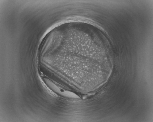 X0000080721522200701021041