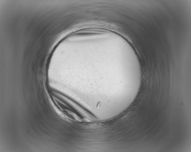 X0000080721523200701021041