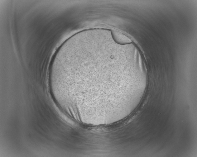 X0000080721525200701021041