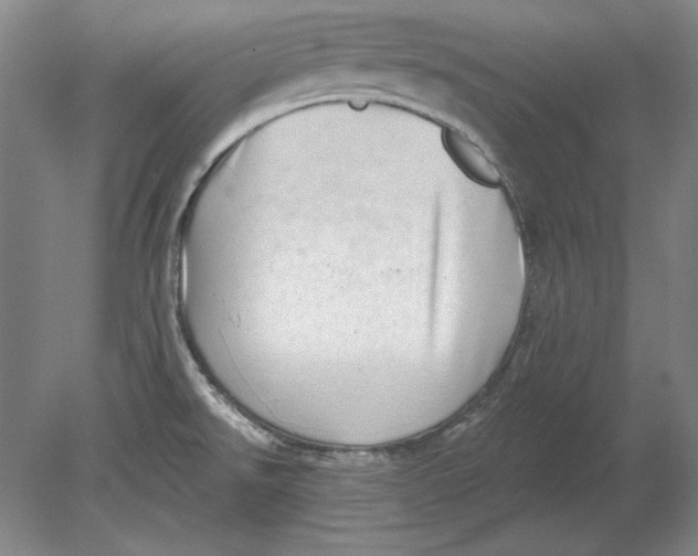 X0000080721526200701021041