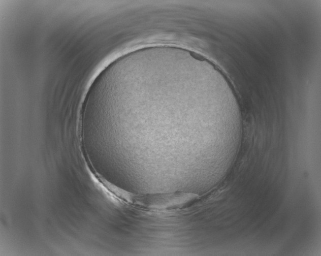 X0000080721527200701021041