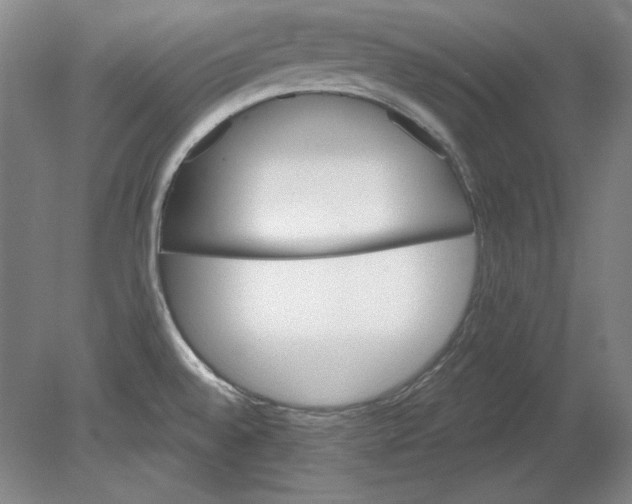 X0000080721528200701021041