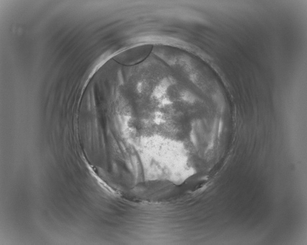 X0000080721529200701021041