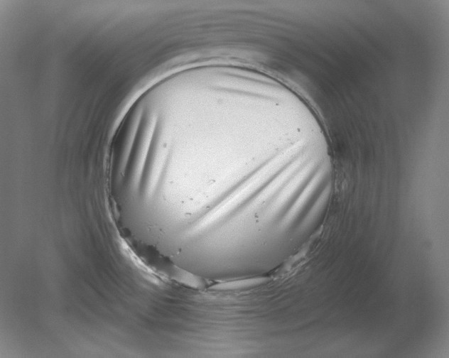 X0000080721532200701021041