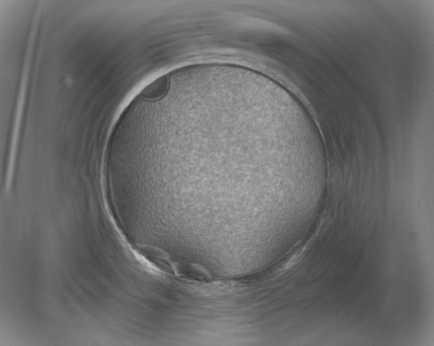 X0000080721533200701021041