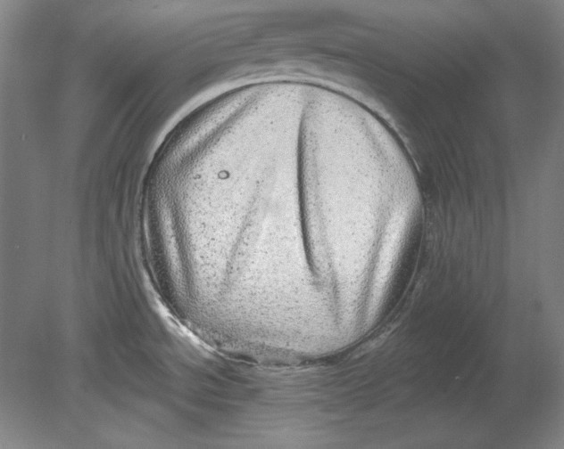 X0000080721534200701021041