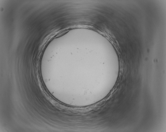 X0000080720001200701051046