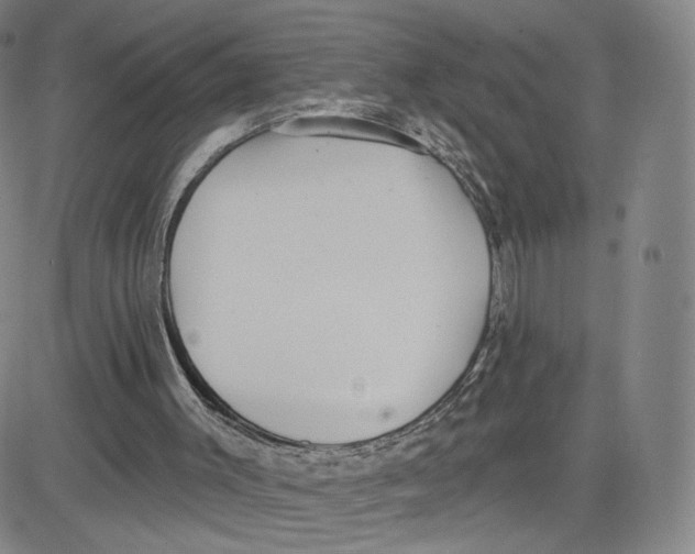 X0000080720003200701051046