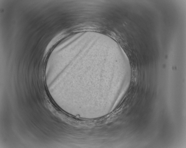 X0000080720004200701051046