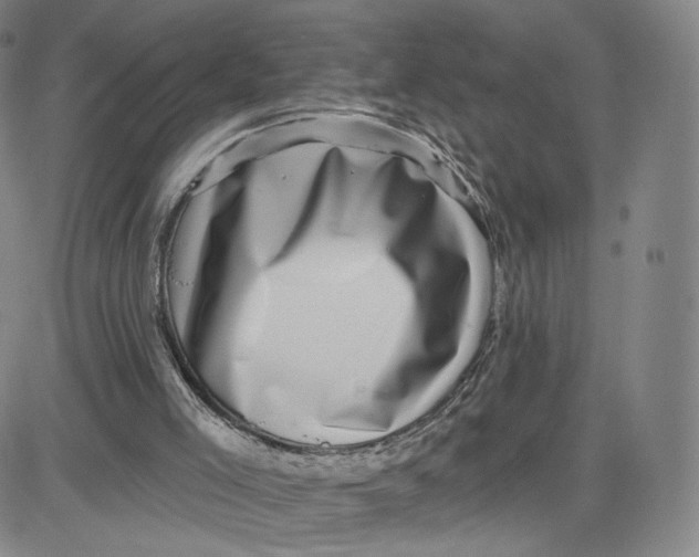 X0000080720005200701051046