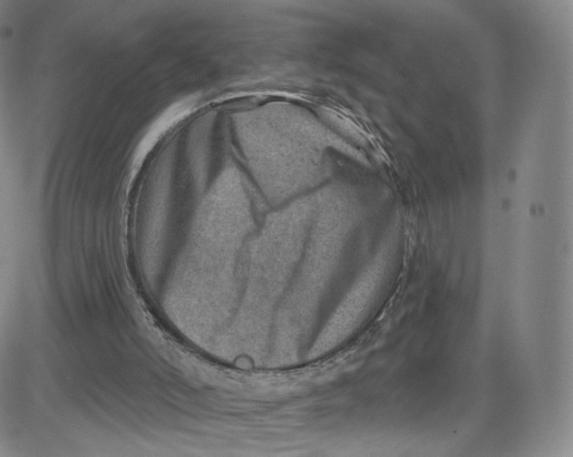 X0000080720006200701051046