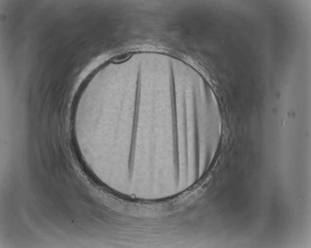 X0000080720008200701051045