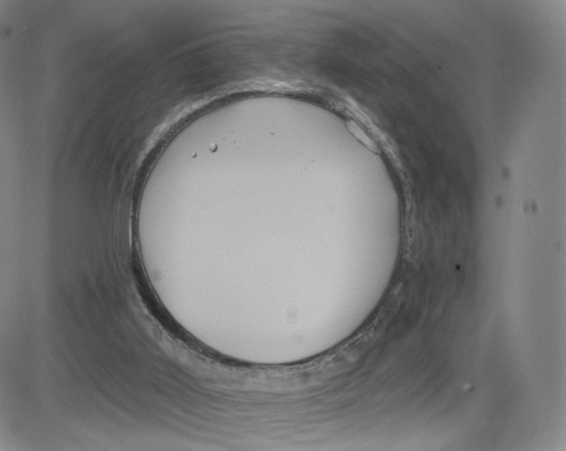 X0000080720011200701051045