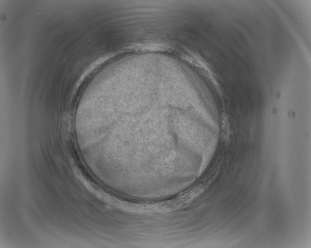 X0000080720012200701051045