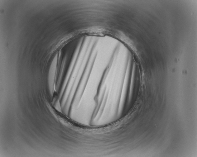 X0000080720013200701051045