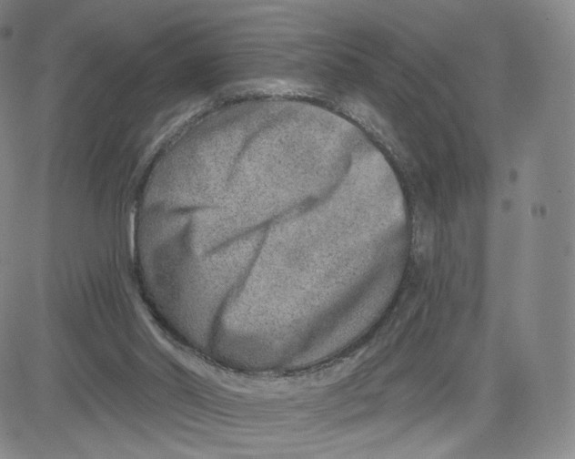 X0000080720014200701051045