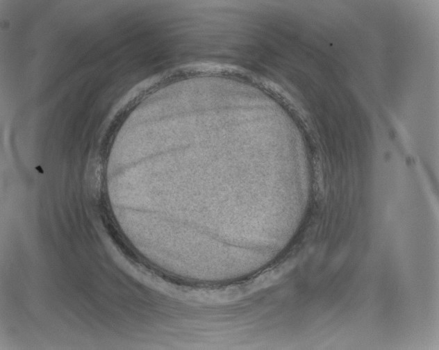 X0000080720016200701051045