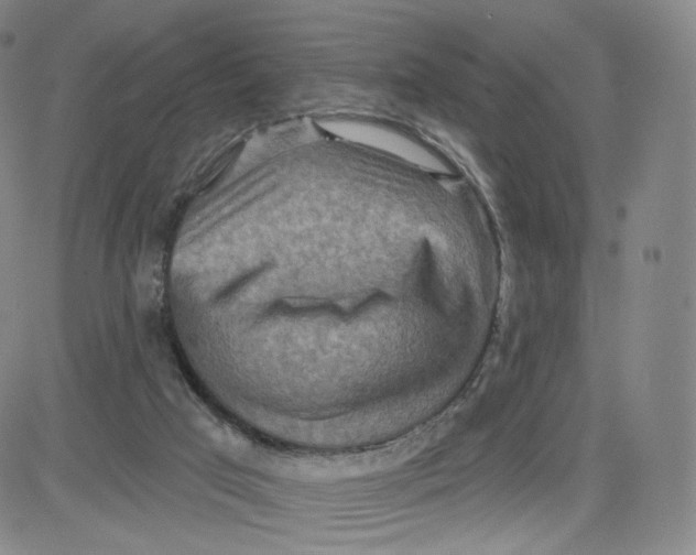 X0000080720017200701051045