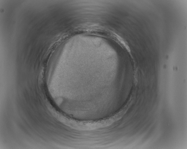 X0000080720018200701051045