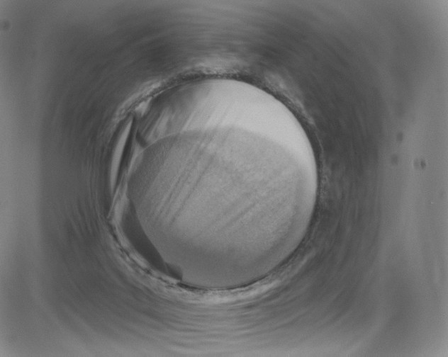 X0000080720019200701051045