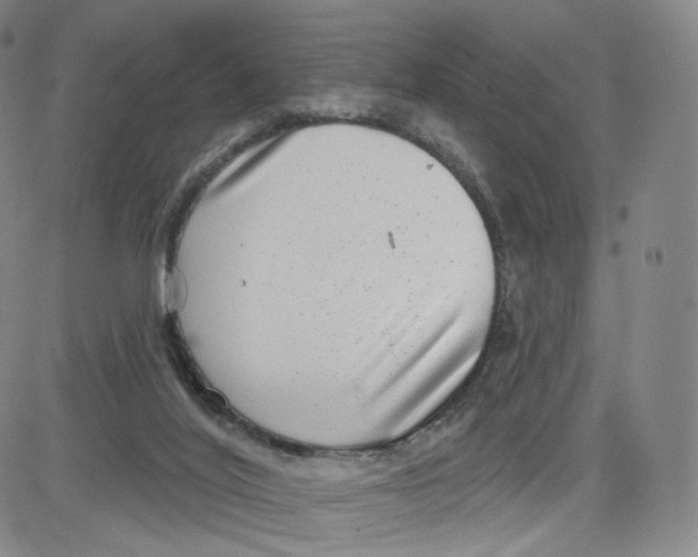 X0000080720020200701051045