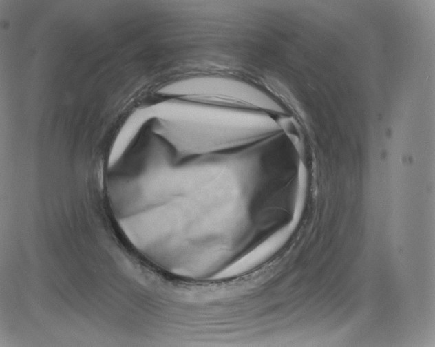 X0000080720021200701051045