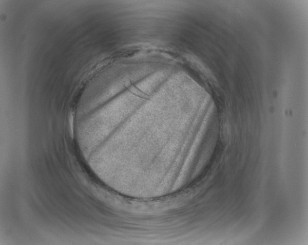 X0000080720022200701051045