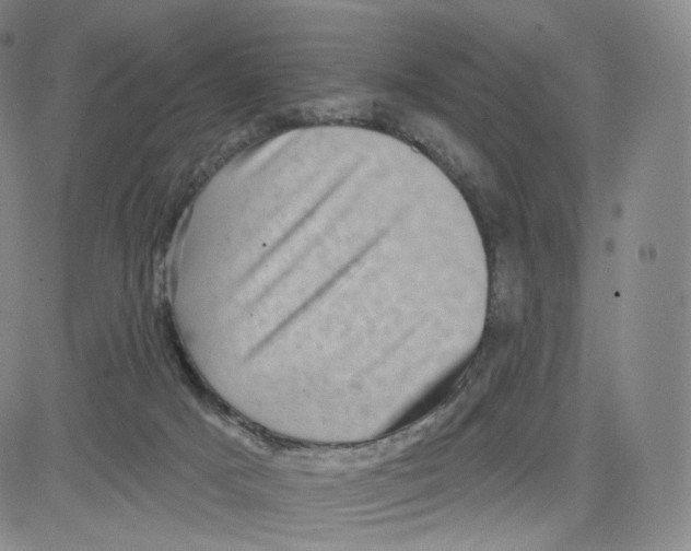 X0000080720025200701051045