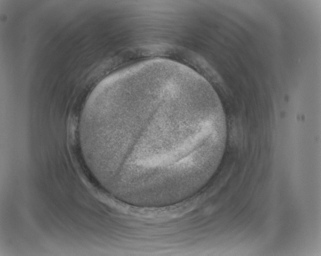 X0000080720026200701051045