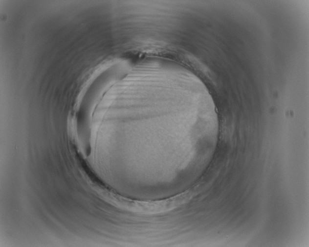 X0000080720027200701051045