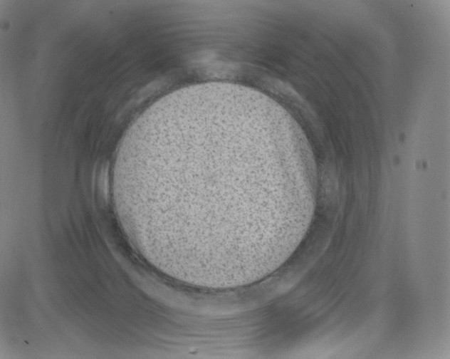 X0000080720028200701051045