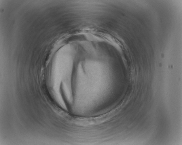 X0000080720029200701051045