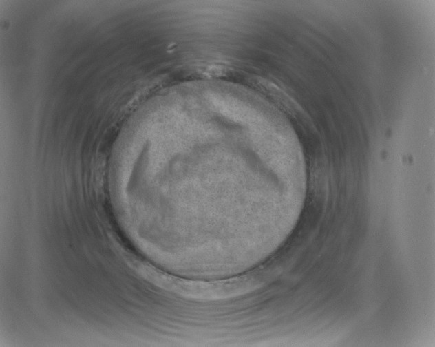 X0000080720030200701051045