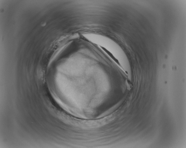 X0000080720031200701051045