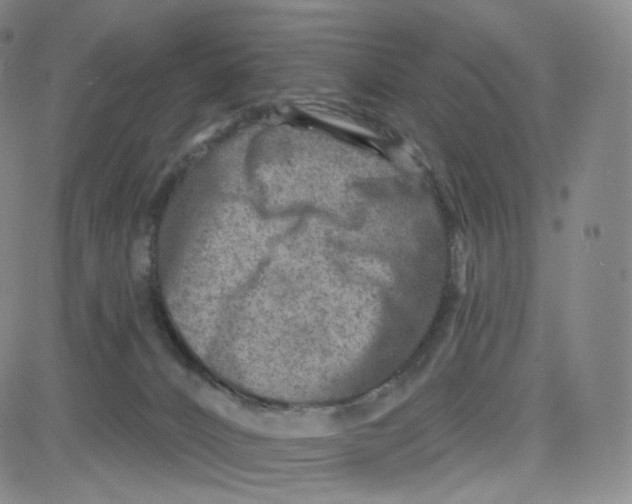 X0000080720032200701051045