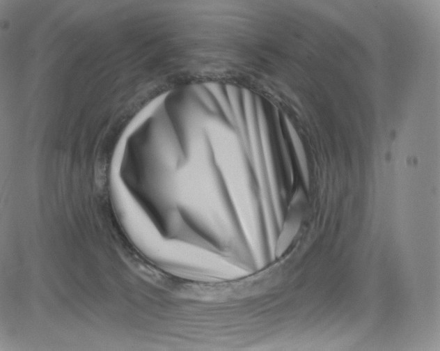 X0000080720033200701051045