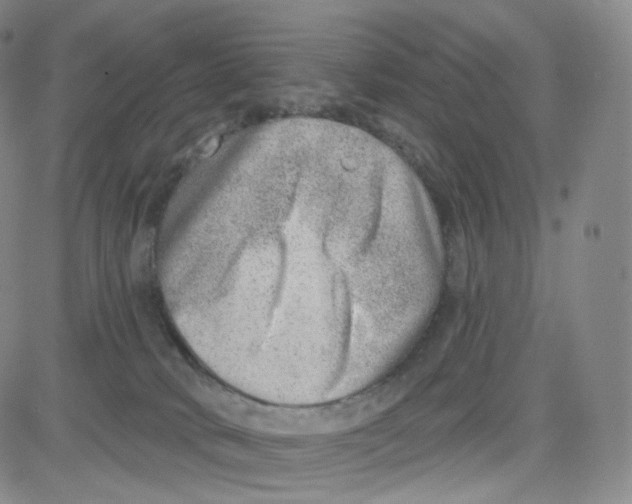 X0000080720034200701051045