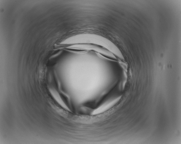 X0000080720037200701051045