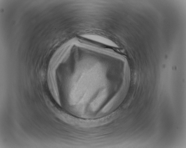 X0000080720039200701051045