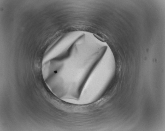 X0000080720040200701051045