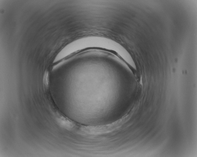 X0000080720041200701051045