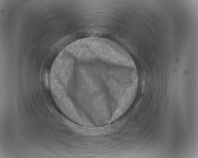 X0000080720042200701051045