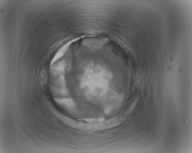 X0000080720043200701051045