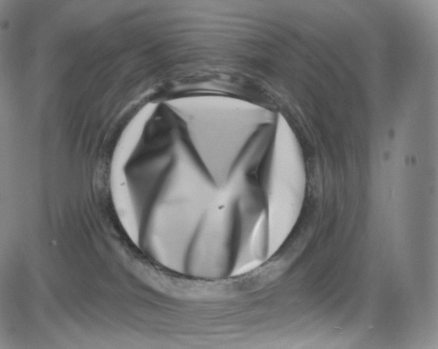 X0000080720044200701051045