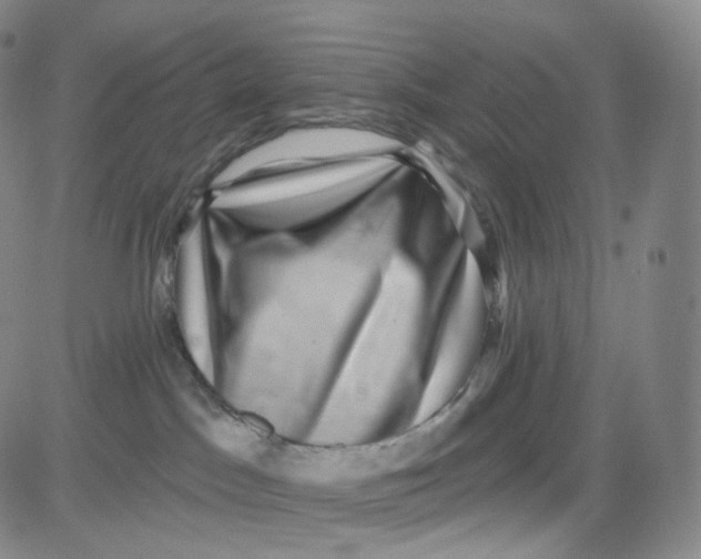 X0000080720045200701051045