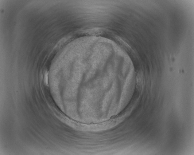 X0000080720046200701051045