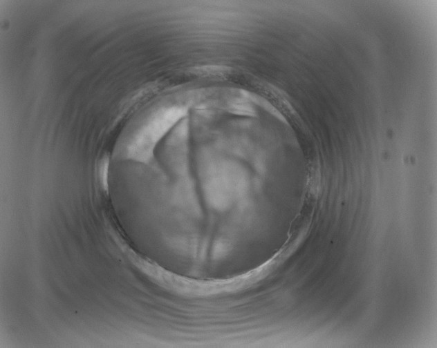 X0000080720047200701051045